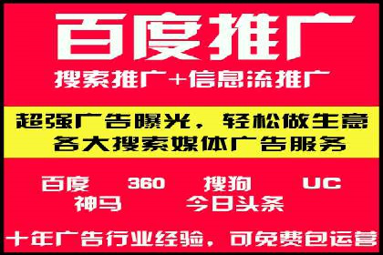 SEM精准广告投放的五大成功案例